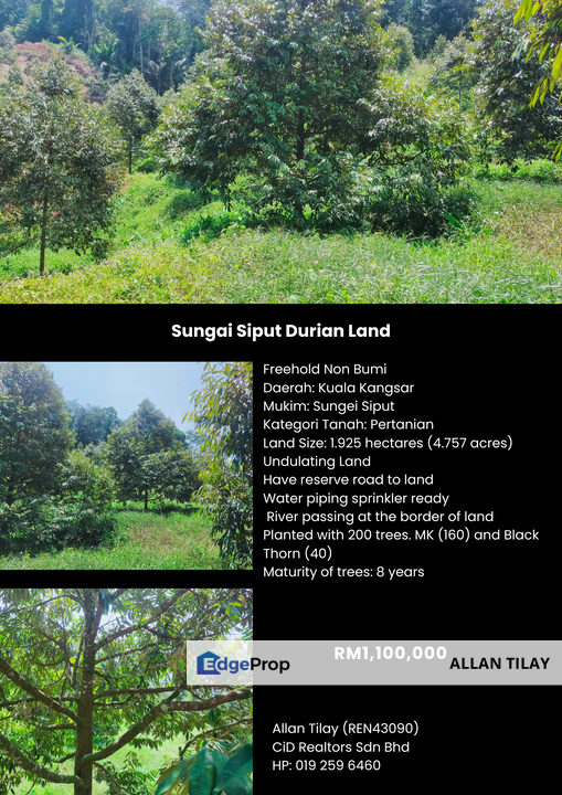 Sungai Siput Durian Land, Perak, Kuala Kangsar