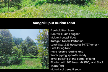 Sungai Siput