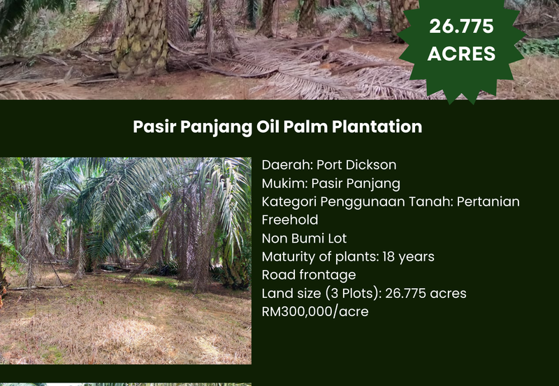 Pasir Panjang