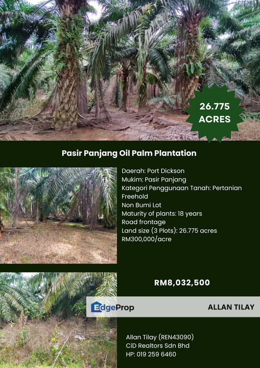 Pasir Panjang Oil Palm Plantation , Negeri Sembilan, Port Dickson