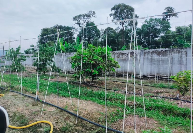 Jalan Pasir Puteh, Station 18