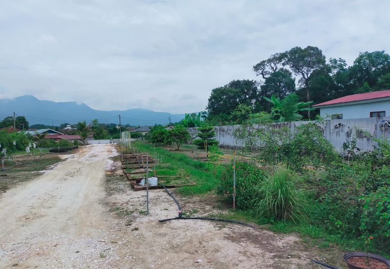 Jalan Pasir Puteh, Station 18