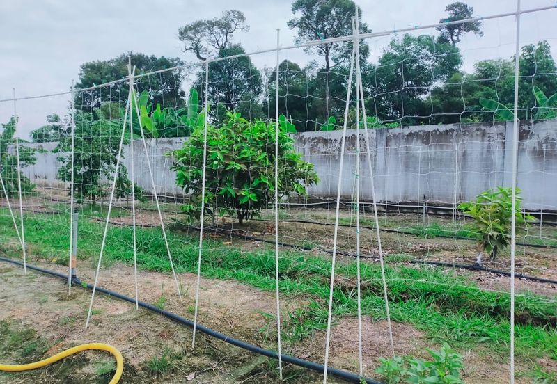 Jalan Pasir Puteh, Station 18