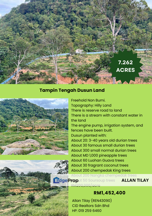 Tampin Tengah Dusun Land, Negeri Sembilan, Tampin