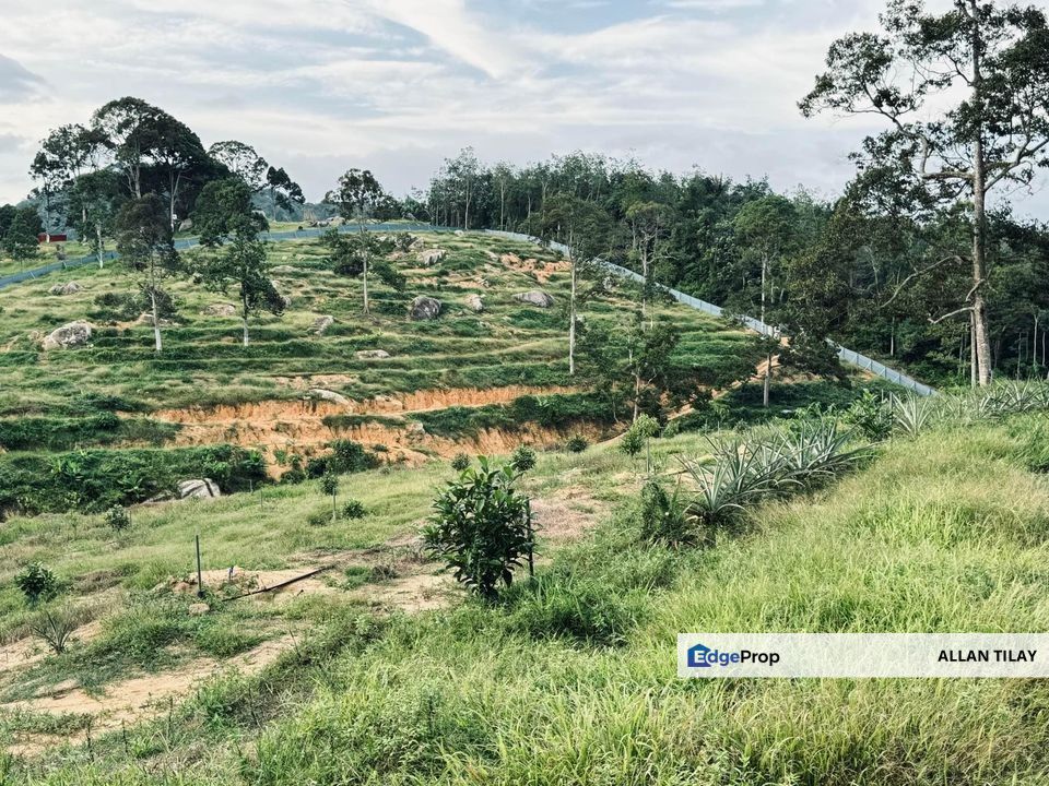 Tampin Tengah Dusun Land, Negeri Sembilan, Tampin