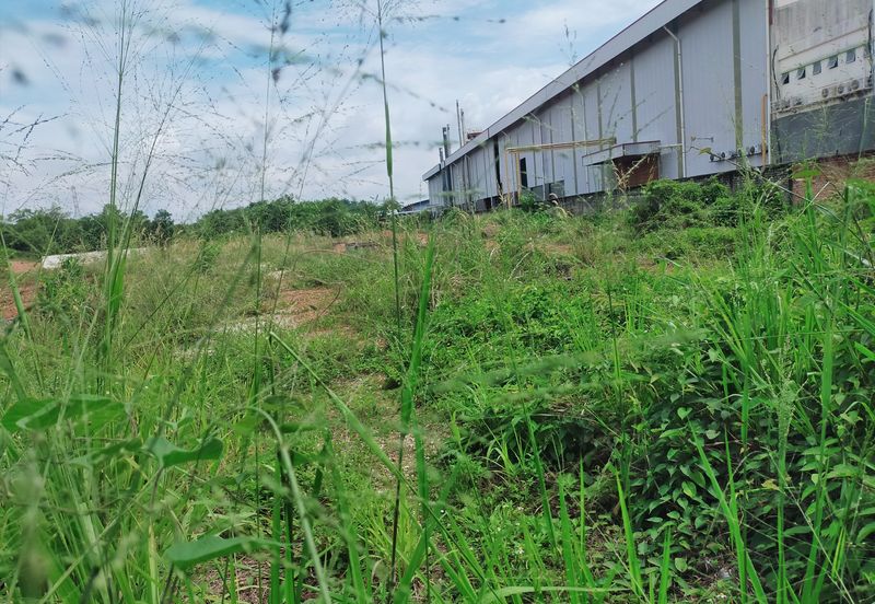 Batang Berjuntai @ Bestari Jaya