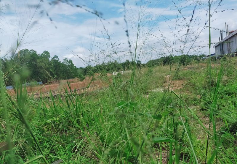 Batang Berjuntai @ Bestari Jaya