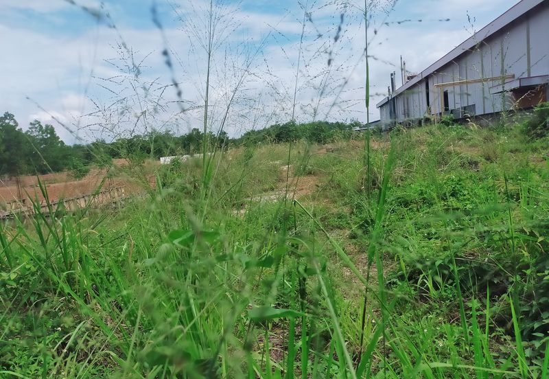 Batang Berjuntai @ Bestari Jaya