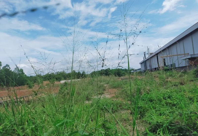 Batang Berjuntai @ Bestari Jaya