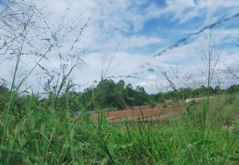 Batang Berjuntai @ Bestari Jaya