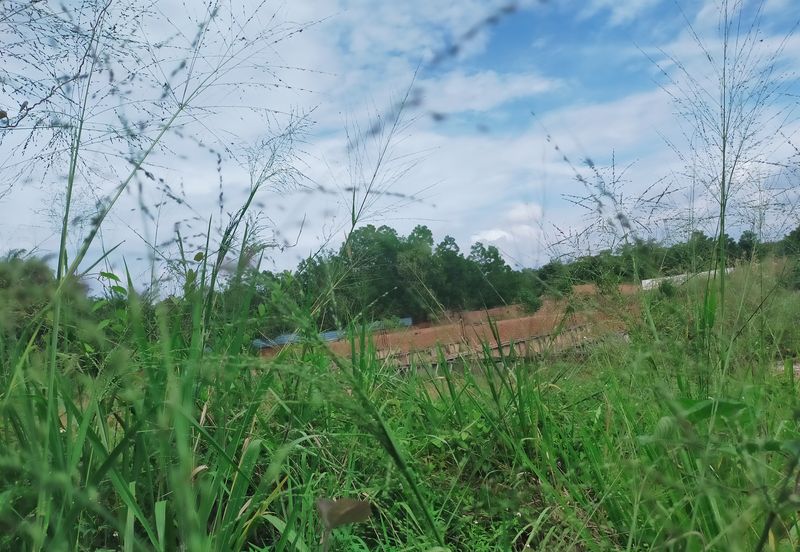 Batang Berjuntai @ Bestari Jaya