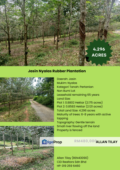 Jasin Nyalas Rubber Plantation, Melaka, Jasin