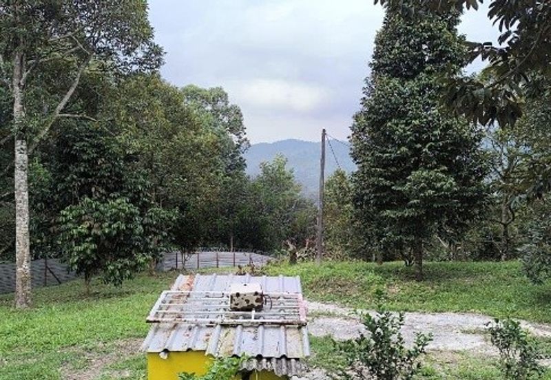 Jalan Kolam Air, Pantai