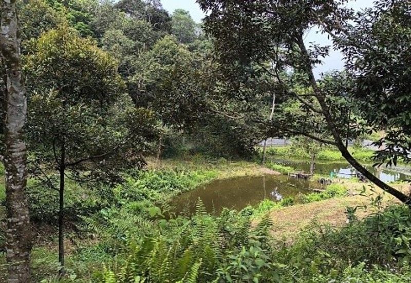 Jalan Kolam Air, Pantai