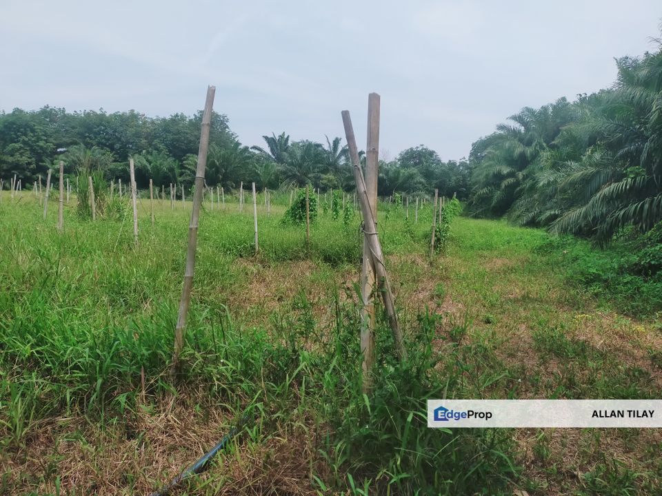 Telok Mengkuang Industrial Zoning Vacant Land, Selangor, Kuala Langat