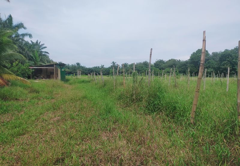 Telok Panglima Garang