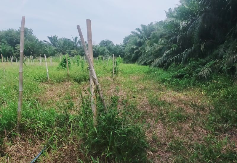 Telok Panglima Garang