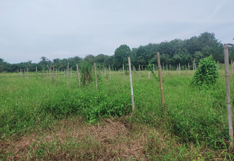 Telok Panglima Garang