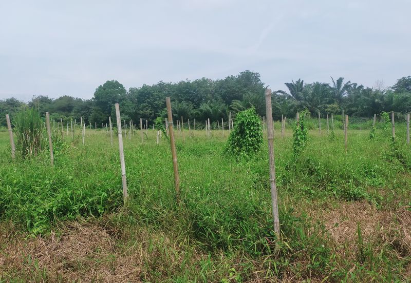 Telok Panglima Garang