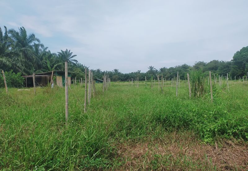 Telok Panglima Garang