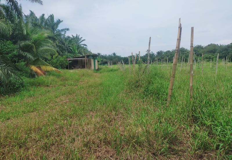 Telok Panglima Garang