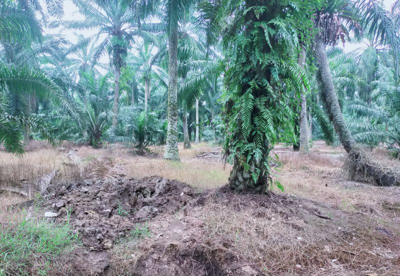 Telok Panglima Garang