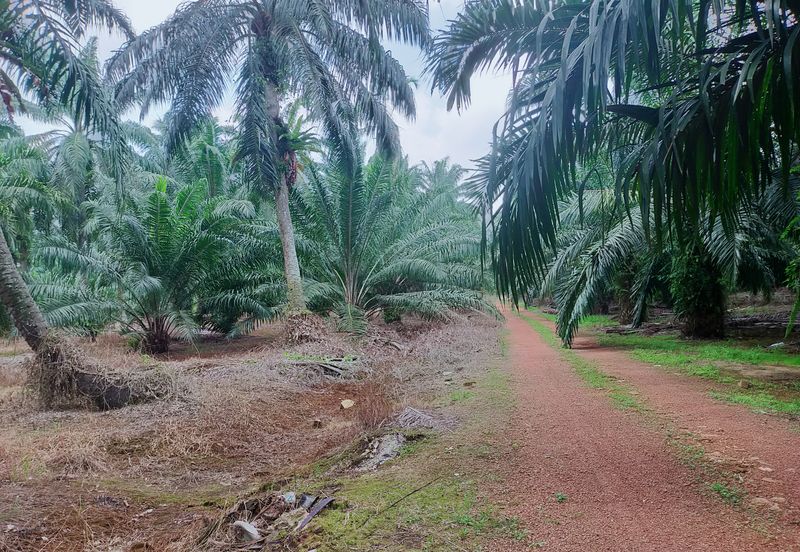 Telok Panglima Garang