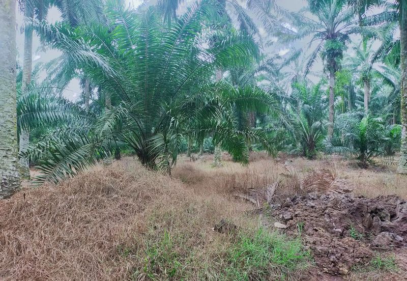 Telok Panglima Garang