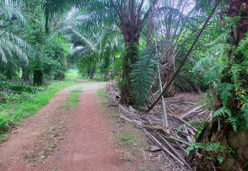Telok Panglima Garang