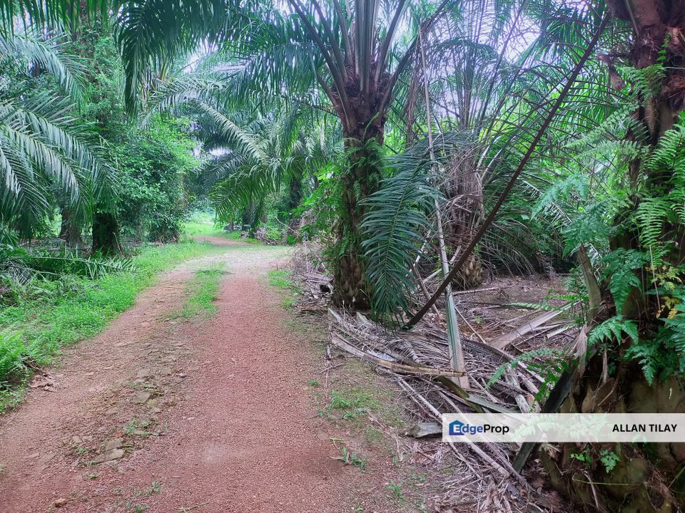 Telok Mengkuang Industrial Zoning Land, Selangor, Kuala Langat