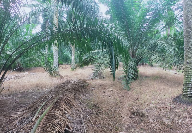 Telok Panglima Garang