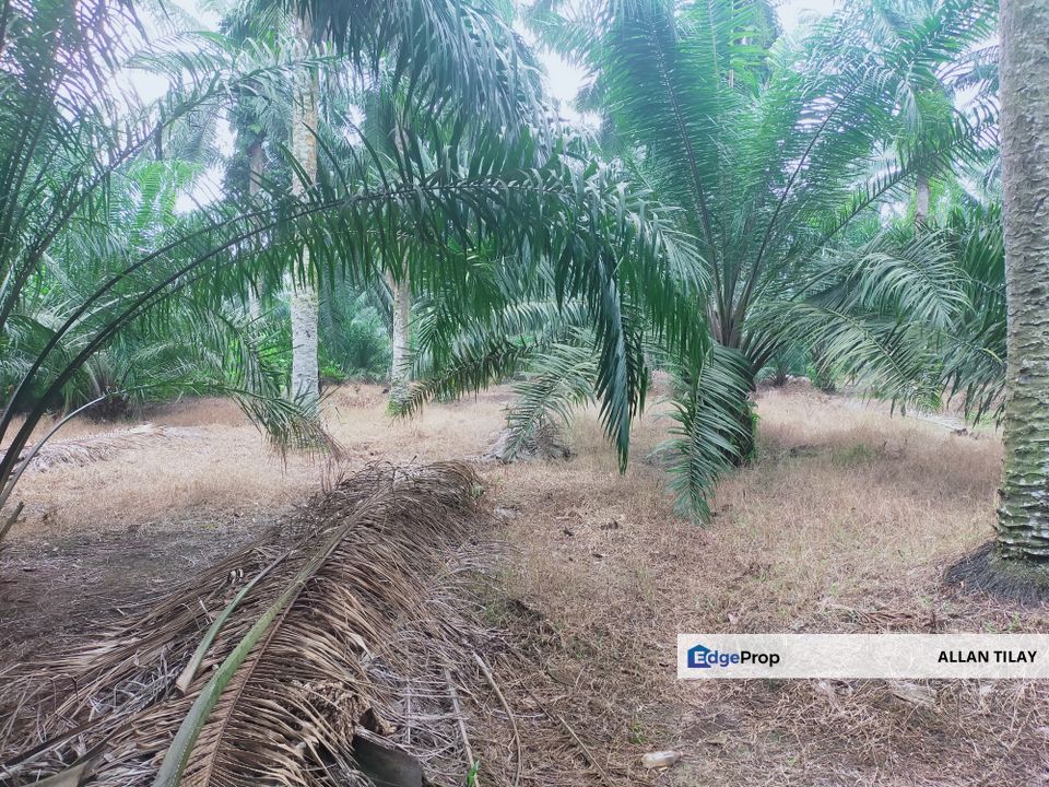 Telok Mengkuang Industrial Zoning Land, Selangor, Kuala Langat