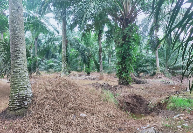 Telok Panglima Garang