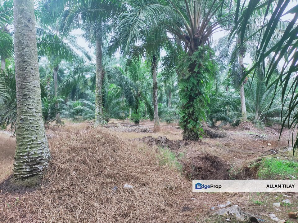 Telok Mengkuang Industrial Zoning Land, Selangor, Kuala Langat