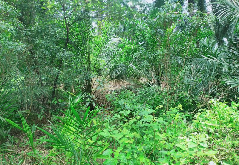 Telok Panglima Garang