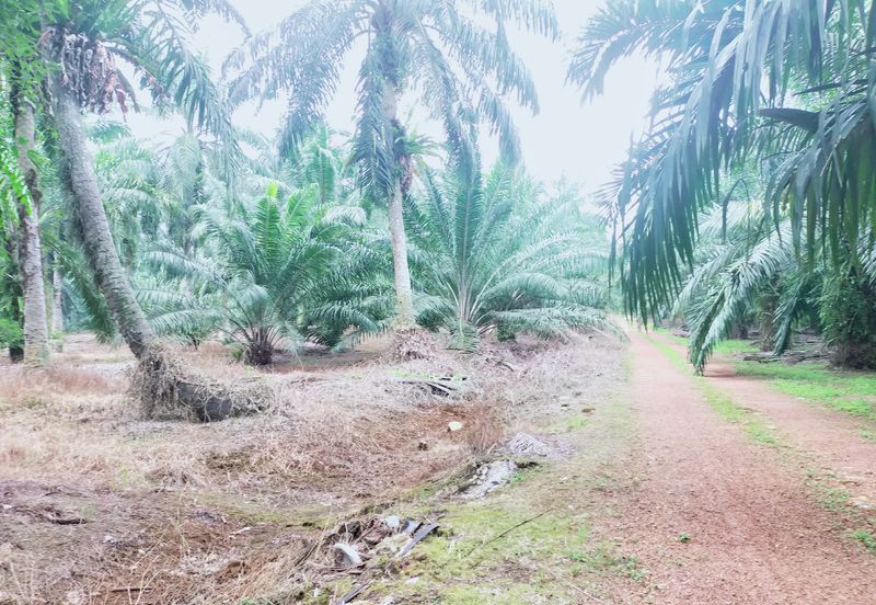 Telok Panglima Garang