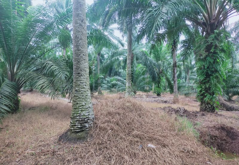 Telok Panglima Garang