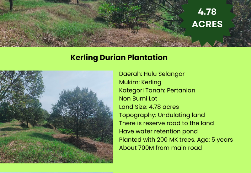 Kerling Industrial Land