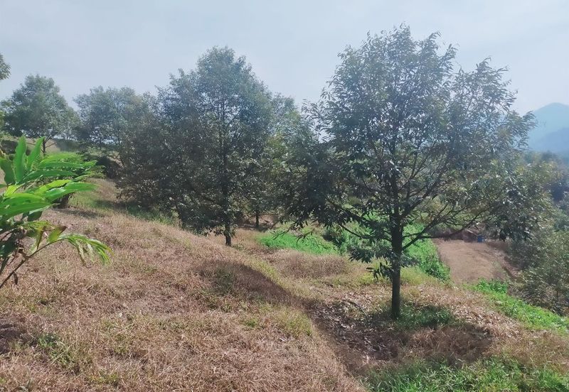 Kerling Industrial Land