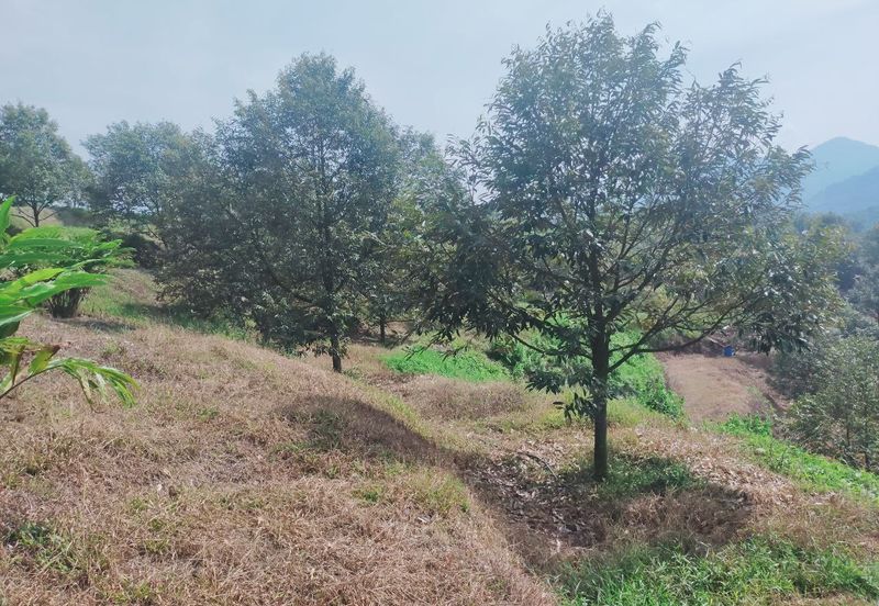 Kerling Industrial Land