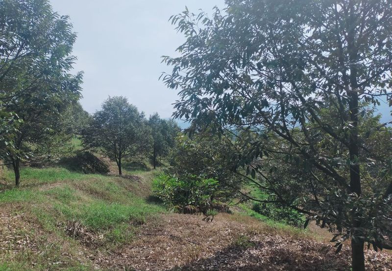 Kerling Industrial Land