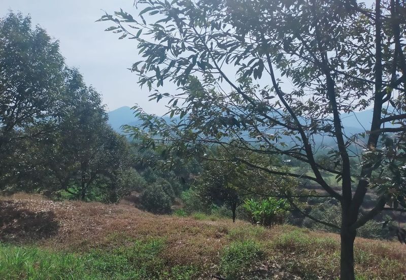 Kerling Industrial Land