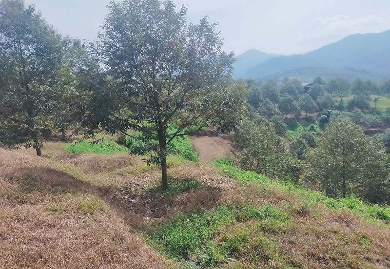 Kerling Industrial Land