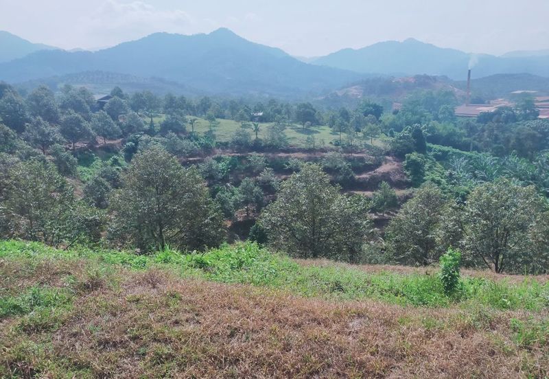 Kerling Industrial Land