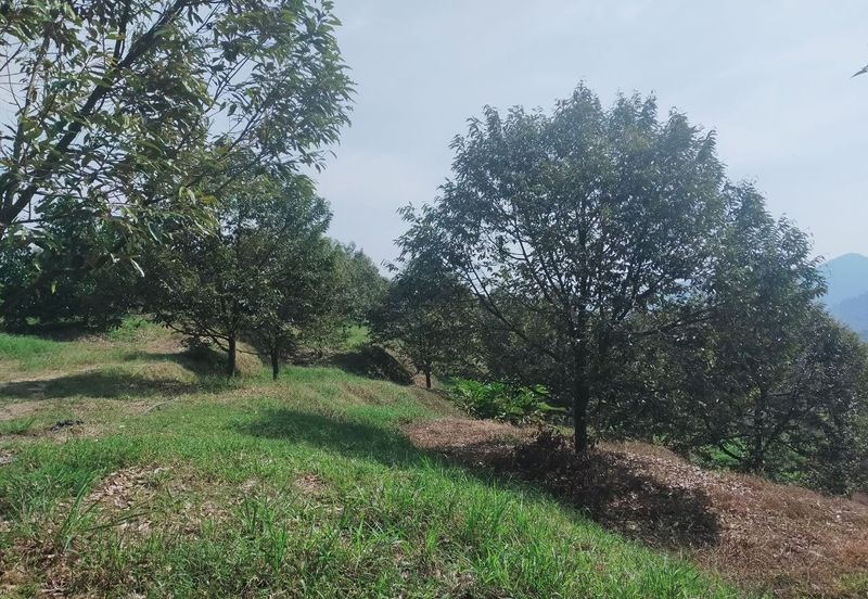 Kerling Industrial Land