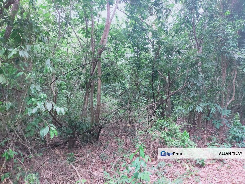 Bukit Katil Melaka Vacant Residential Zoning Land, Melaka, Jasin