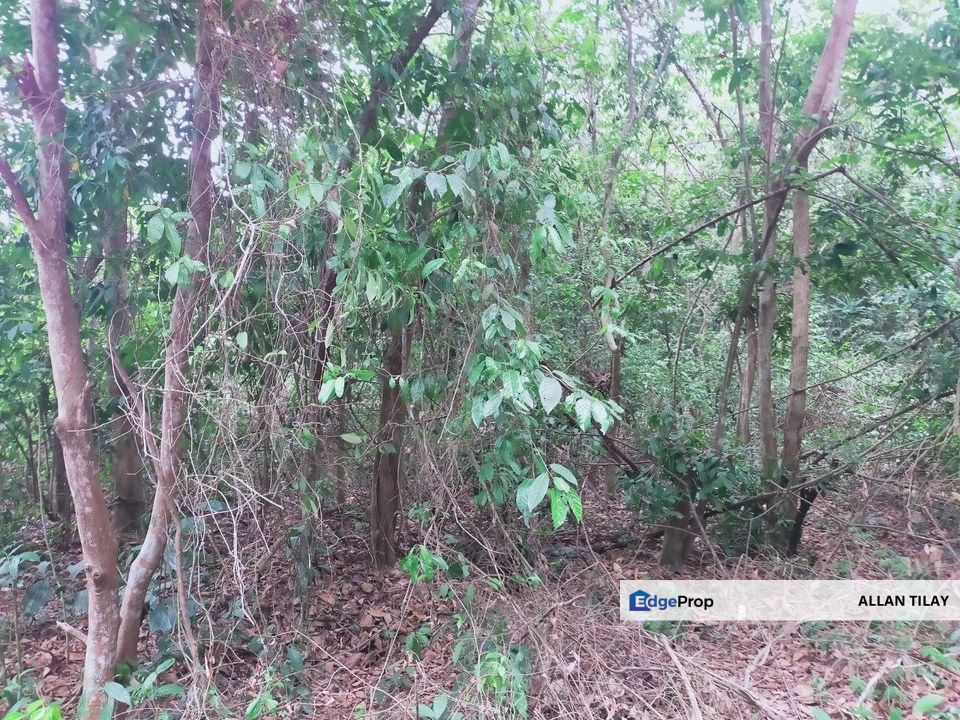 Bukit Katil Melaka Vacant Residential Zoning Land, Melaka, Jasin