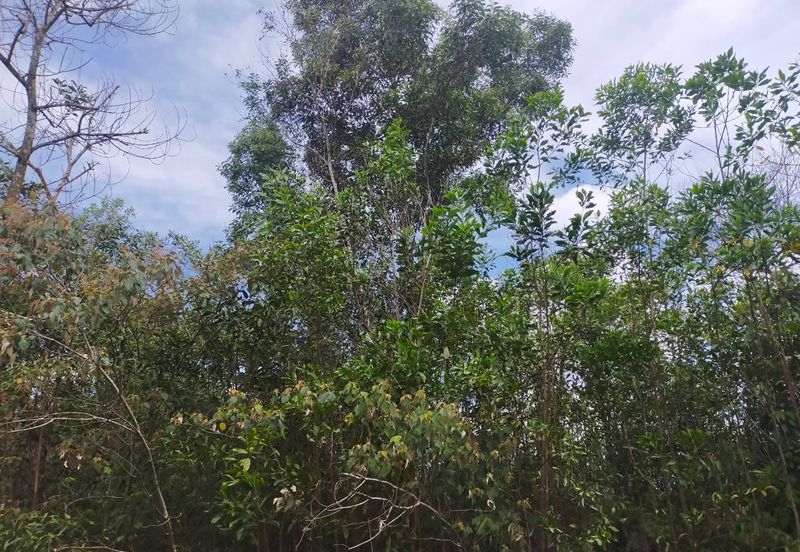 Nilai Springs Heights