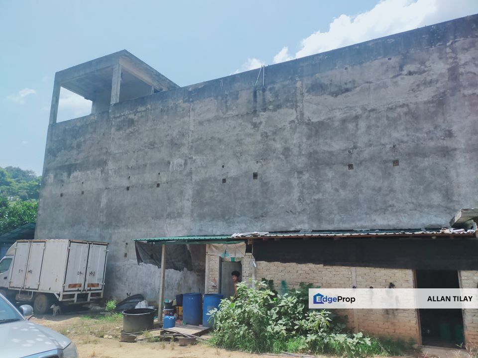 Bentong Lurah Bilut Durian Plantation, Pahang, Bentong