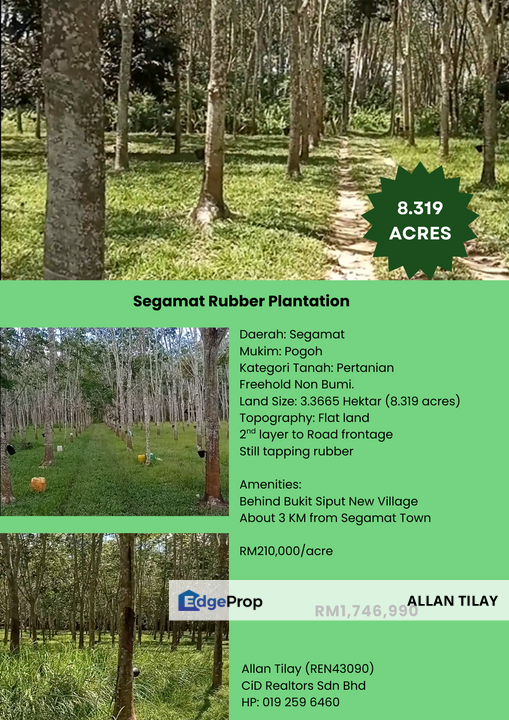 Segamat Rubber Plantation, Johor, Segamat